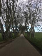 Ireland The Dark Hedges Game Of