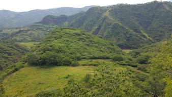 Landscape Horizon Tree
