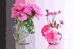 peonies flowers vase pink flower