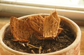 Flora Florez Nature Armenia