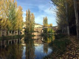 bridge is reflected in the river in the autumn park