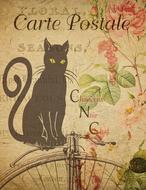 postcard vintage card retro design