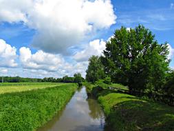 Brook Nature Landscape
