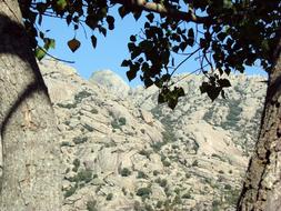 the mountains in the trees are beautiful