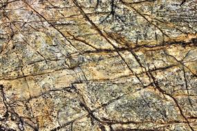 Texture Background Stone