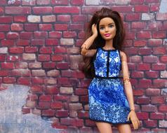 Barbie Doll and Brick Wall