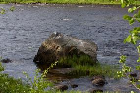 Rock Lake Nature