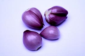 Purple onion ripe