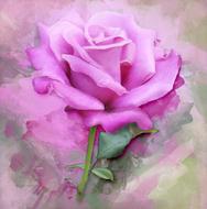 rose paint art painting floral