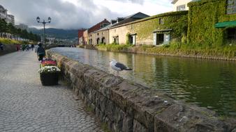 Small Town Canal Life