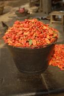dried ripe peppers