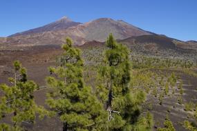 Teide National Park