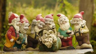 The Field Nature Landscapes