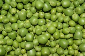 Pea Peas Nature