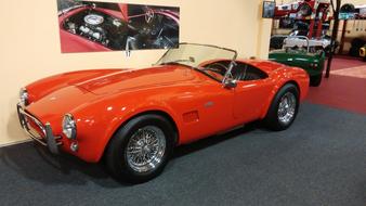 Shelby Classic Auto