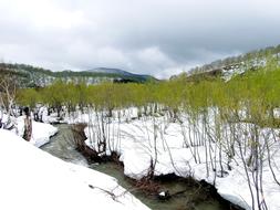 Spring Winter Summer