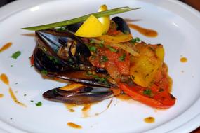 seafood in sauce