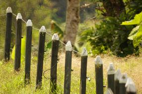 Landscapes Nature Fauna