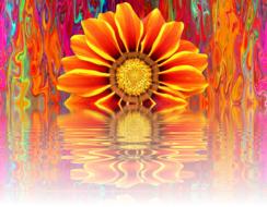 summer garden blossom digital art