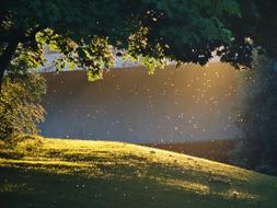 Evening Sun Romantic