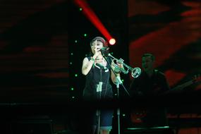 Concert Reggae Music person