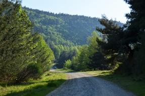 Spring Scholarship Doburca Village