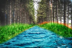 blue river by the forest