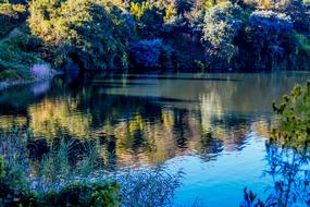 the lake is beautiful with grass
