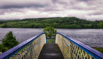 Bridge Railing Wood