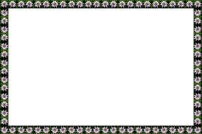 frame border flowers floral