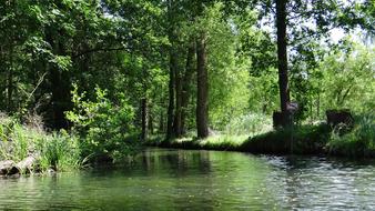 Spreewald Depth Landscape