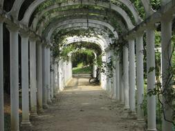 Architecture Green