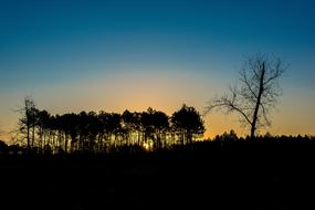 Arcachon Basin Sunset