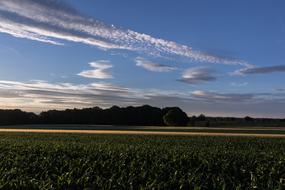 Sky Clouds Form Evening
