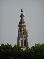 tower view of the green is beautiful