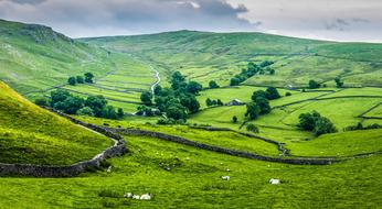 Cry Stone Walls Yorkshire Dales
