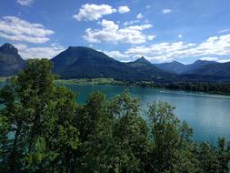 green trees against the lake and mountains