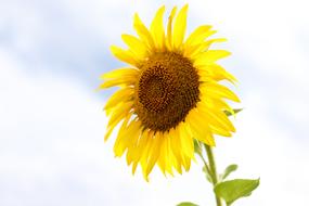 Nature Landscape Outdoor