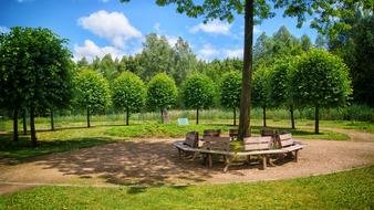 Wilhelminabos Kwf Bench