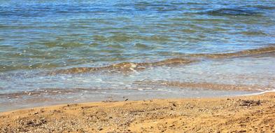 Beach Sea Water