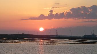 Sunset The Sea
