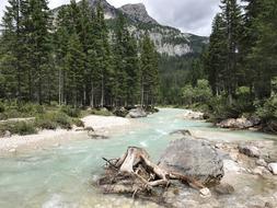 stone beach by the river in the forest