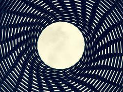 Verbeke Foundation Art