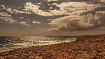 Cyprus Rocky Coastline Landscape