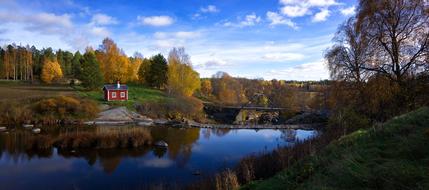 Autumn Forest Nature
