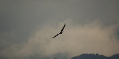 Nature Landscapes Armenia