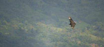 Nature Landscapes Armenia