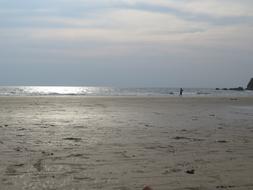 Beach Travel
