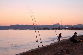 Fish Sea Beach