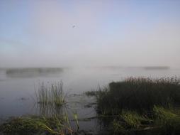 River Foggy Beach